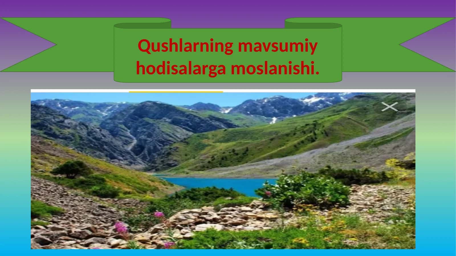 Qushlarning mavsumiy hodisalarga moslanishi