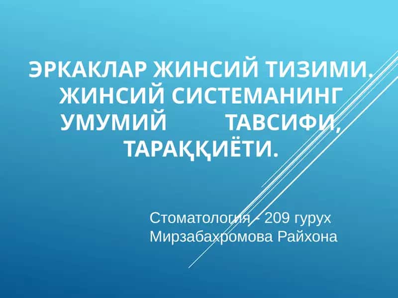 Жинсий тизим ва жинсий система