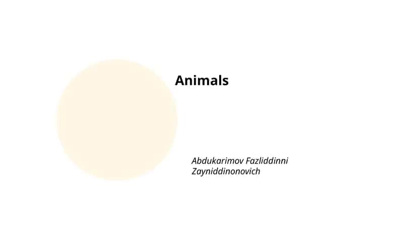 Animal Habitats