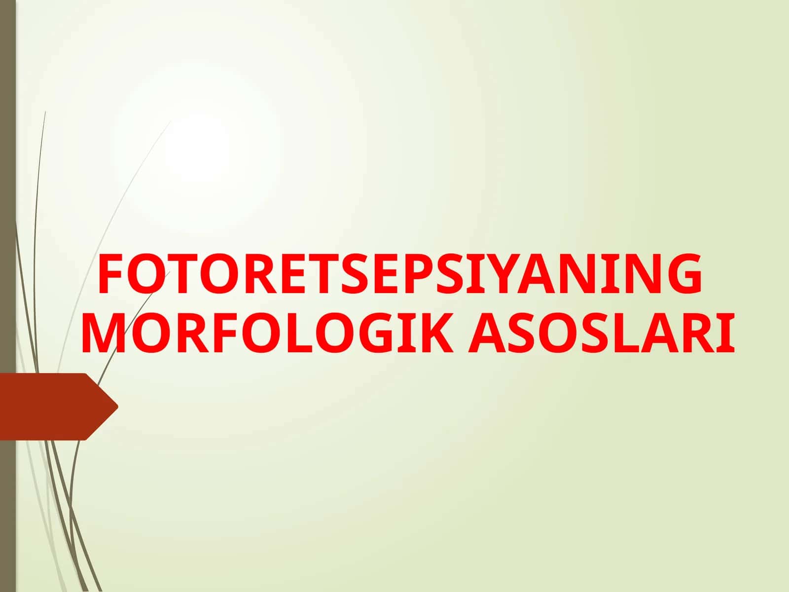 FOTORETSEPSIYANING MORFOLOGIK ASOSLARI