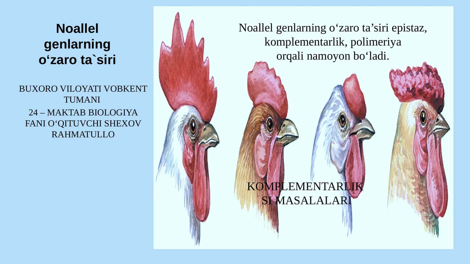 Noallel genlarning o‘zaro ta`siri