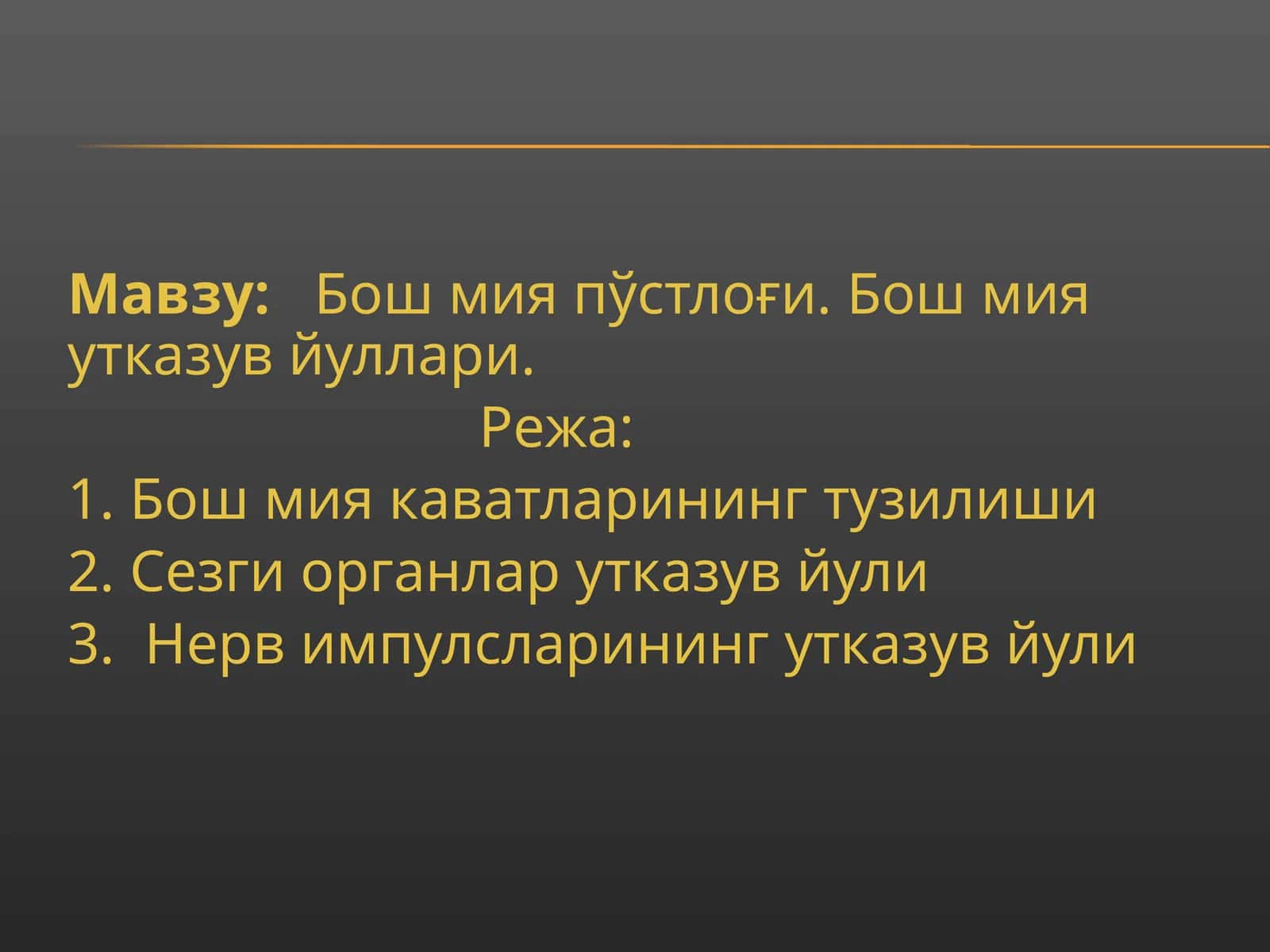 Бош мия пўстлоғи