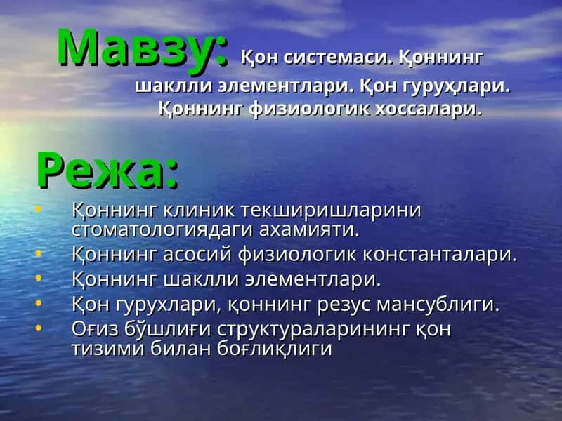 Қon sistemasi
