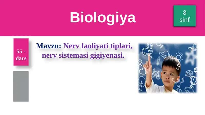 Nerv faoliyati tiplari