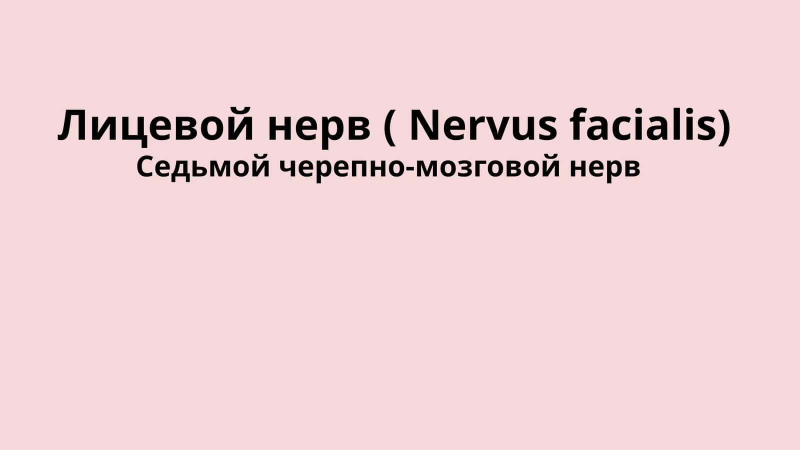 Лицевой нерв ( Nervus facialis)