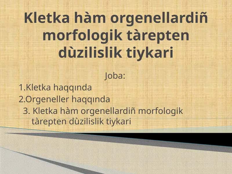 Kletka hàm orgenellardiñ morfologik tàrepten dùzilislik tiykari