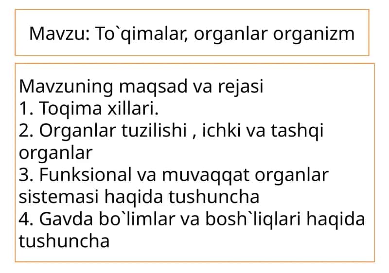 To`qimalar, organlar organizm