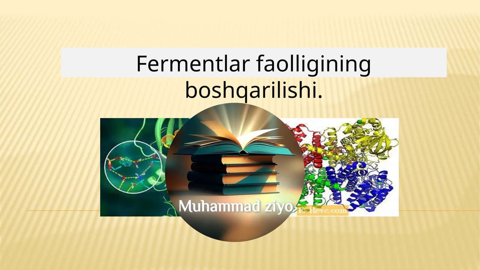 Fermentlar faolligining boshqarilishi