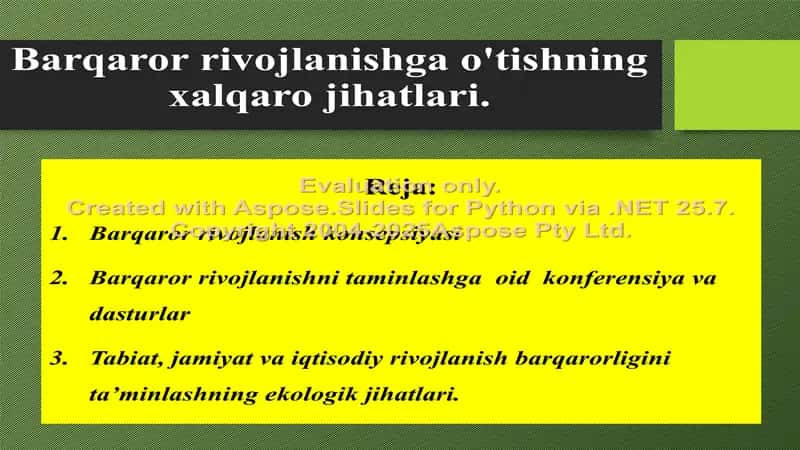 Barqaror rivojlanishga o'tishning xalqaro jihatlari