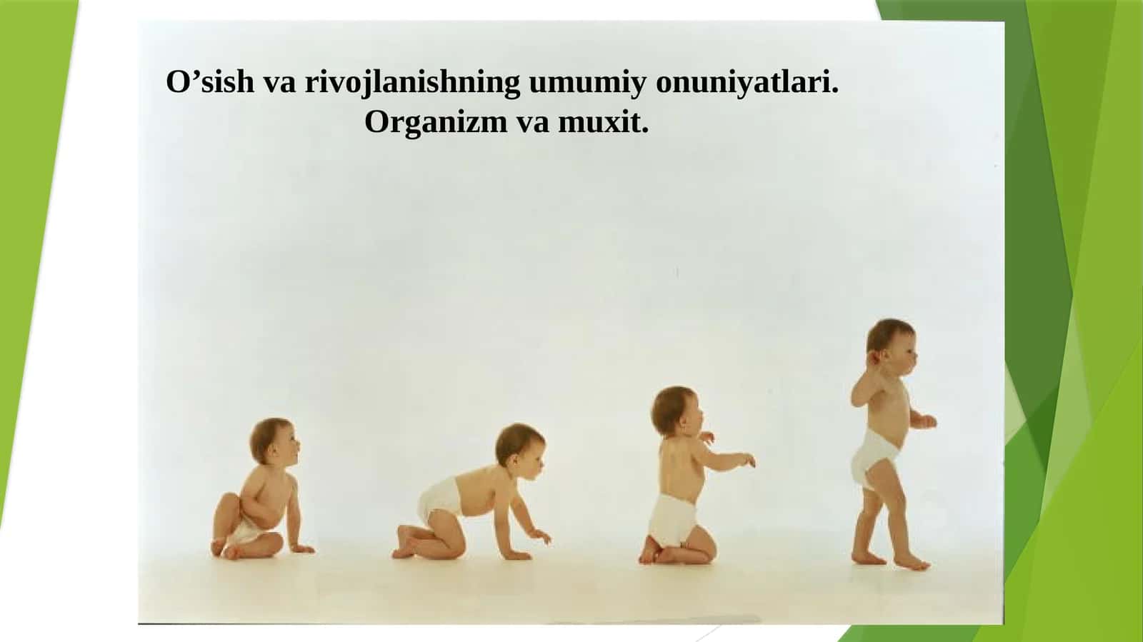 O’sish va rivojlanishning umumiyonuniyatlari