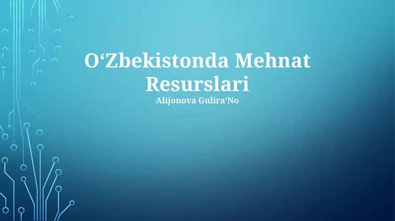 Oʻzbekistonda Mehnat Resurslari