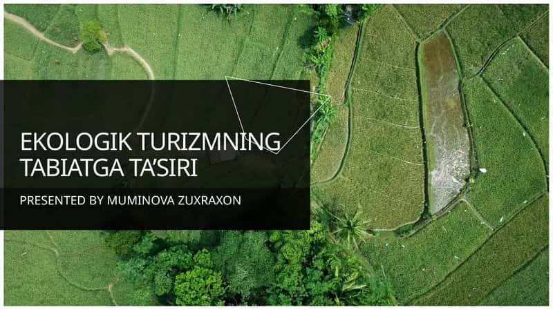 EKOLOGIK TURIZMNING TABIATGA TA’SIRI