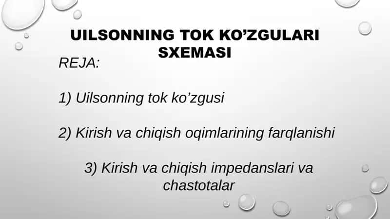 Uilsonning tok ko’zgusi