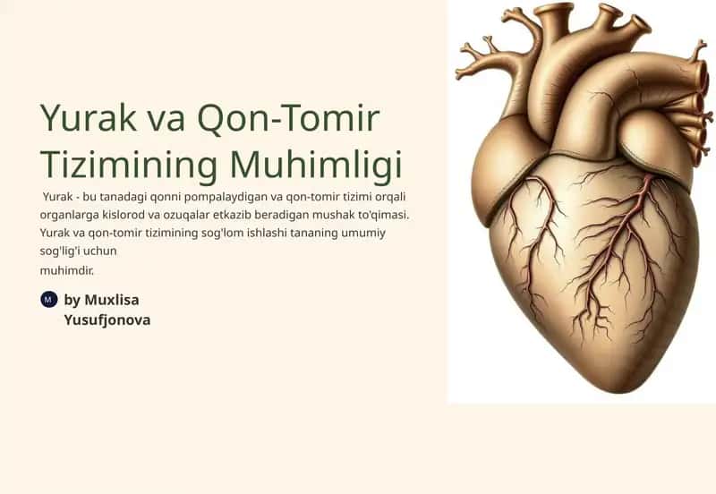 Yurak va Qon-Tomir Tizimining Muhimligi