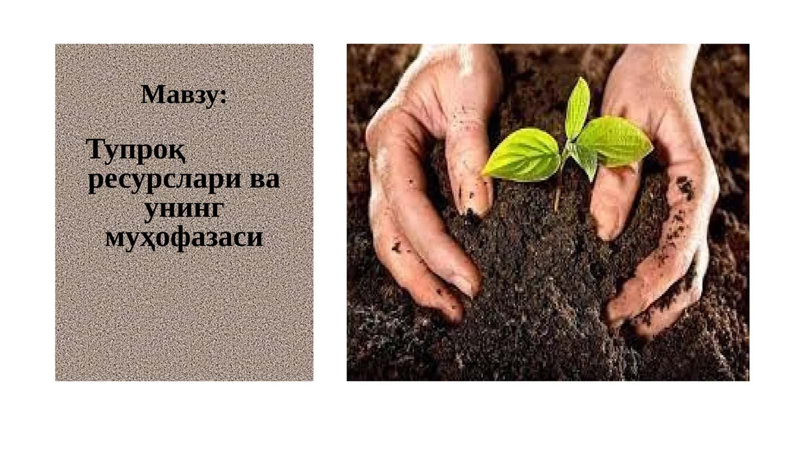 Тупроқ ресурслари ва унинг муҳофазаси