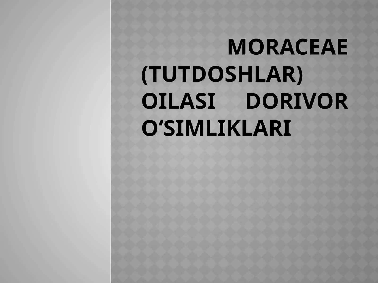 Tutdoshlar (Moraceae) yağı