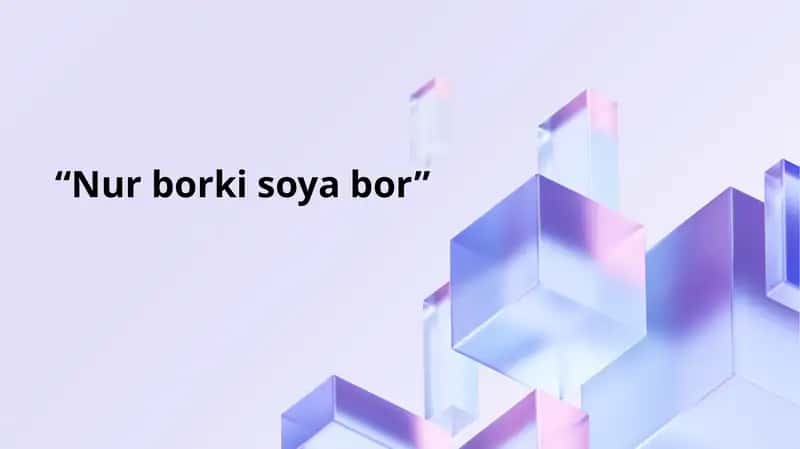 Nur borki soya bor