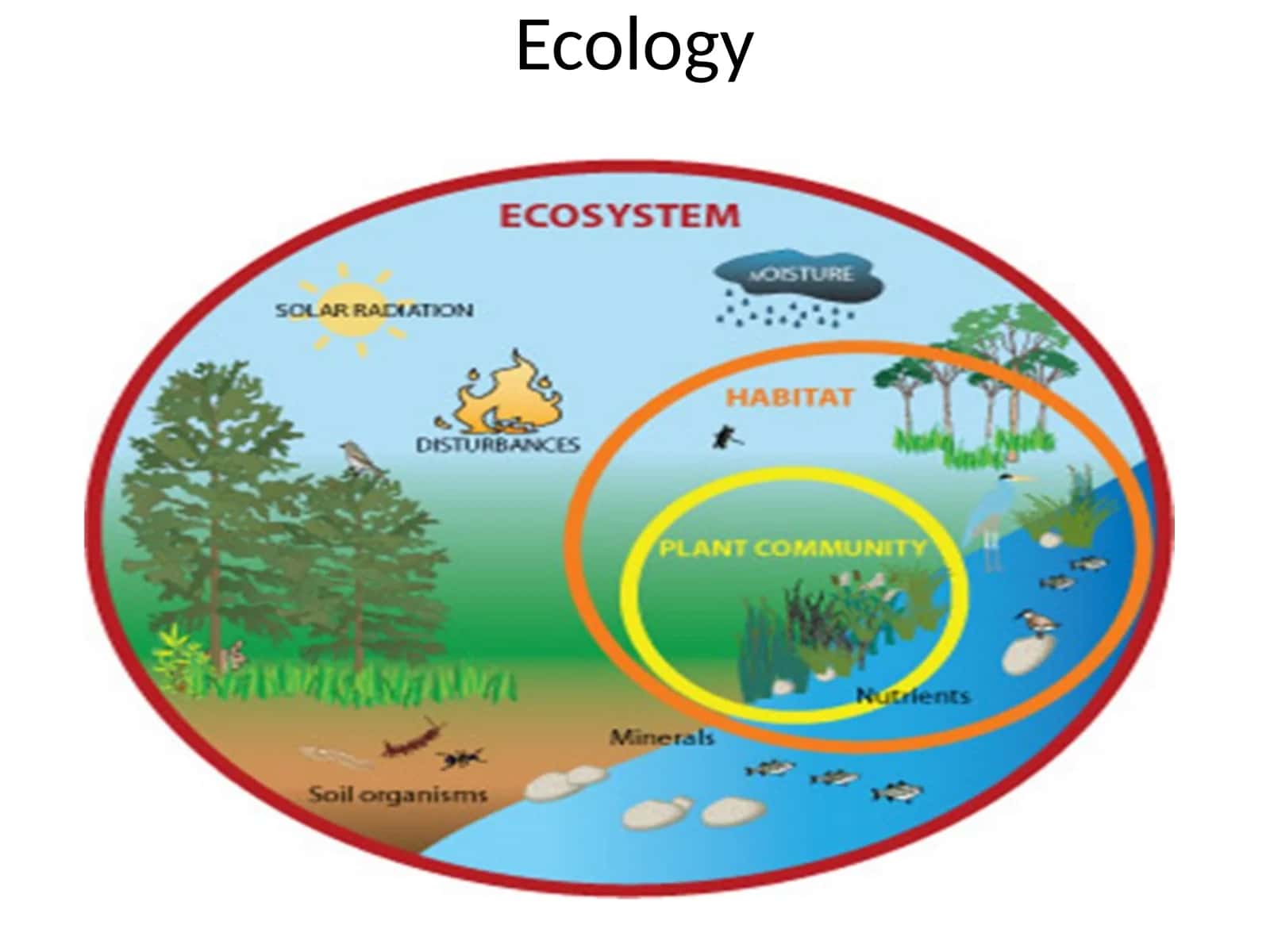 Ecology