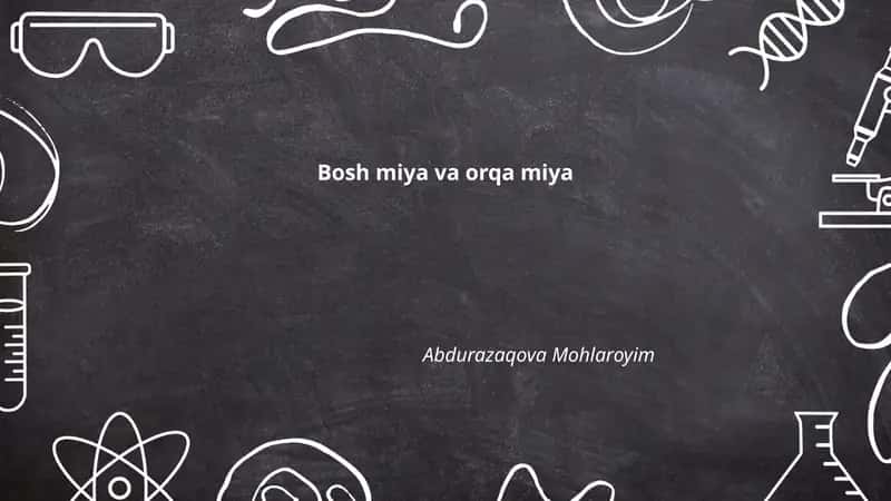 Bosh miya va orqa miya