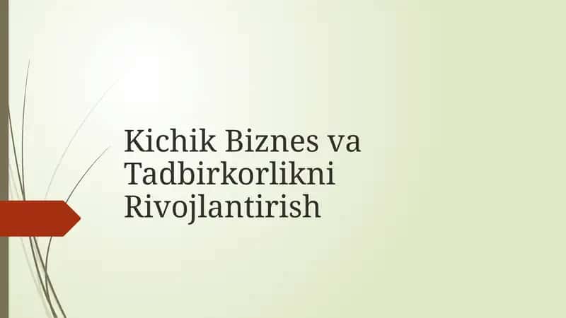 Kichik Biznes va Tadbirkorlikni Rivojlantirish