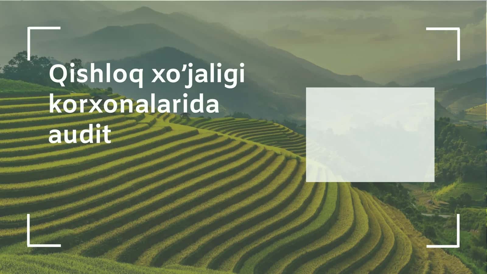Qishloq xo’jaligi korxonalarida audit