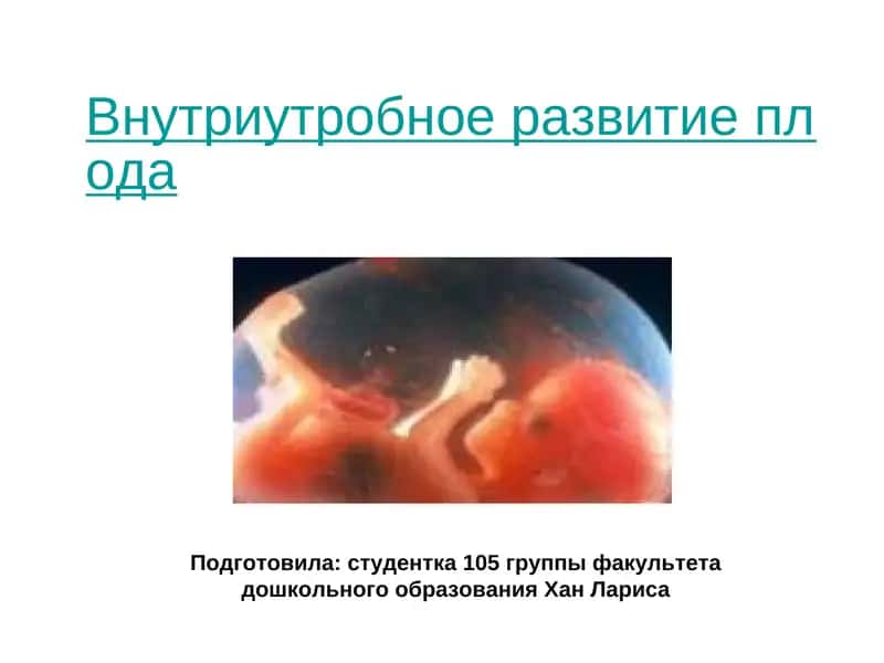 Внутриутробное развитие плода