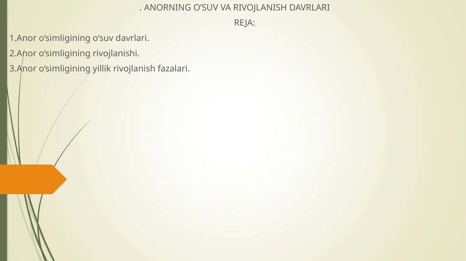 Anorning O'Suv va Rivojlanish Davrlari