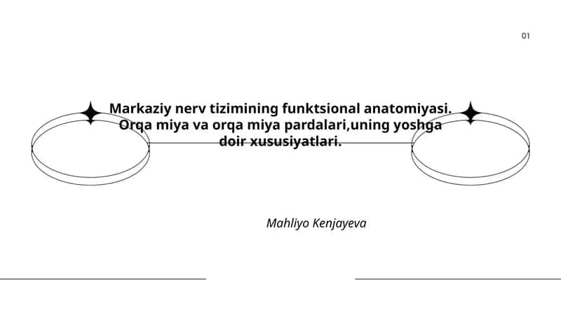 Markaziy nerv tizimining funktsional anatomiyasi