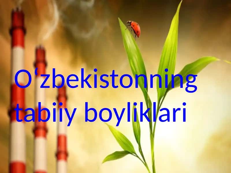 Oʻzbekistonning tabiiy boyliklari. Taqdimot