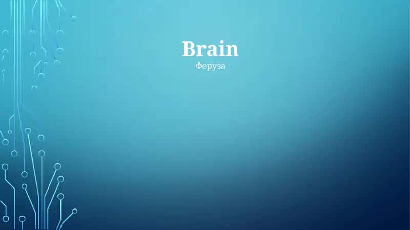 Miya (Brain)