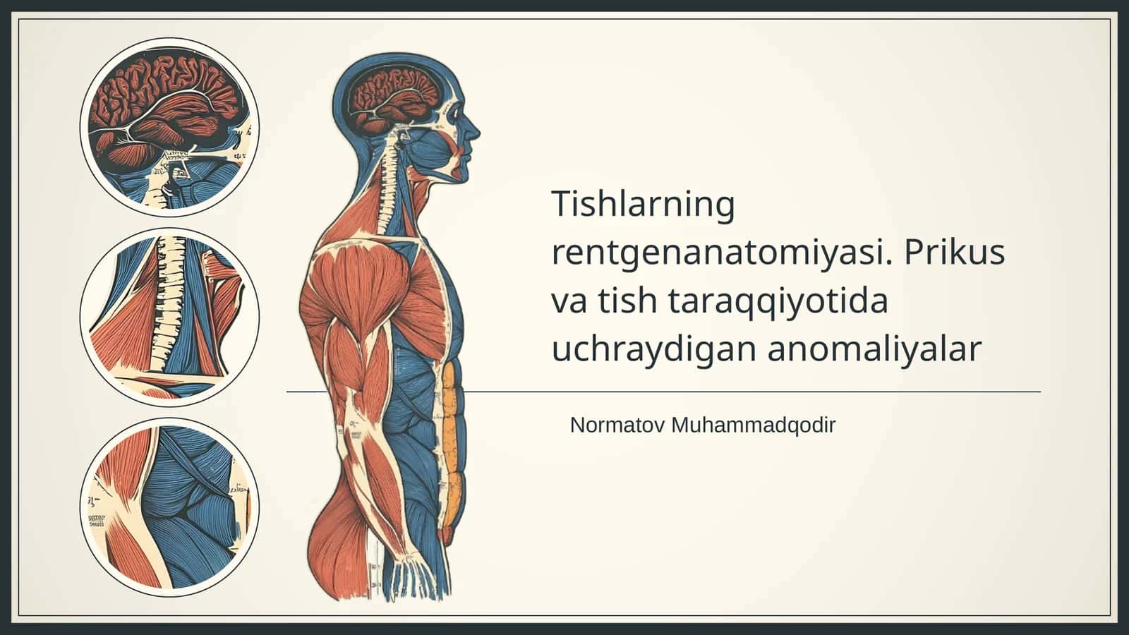 Tishlarning rentgenanatomiyasi. Prikus va tish taraqqiyotida uchraydigan anomaliyalar
