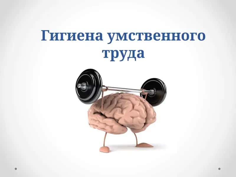Гигиена умственного труда