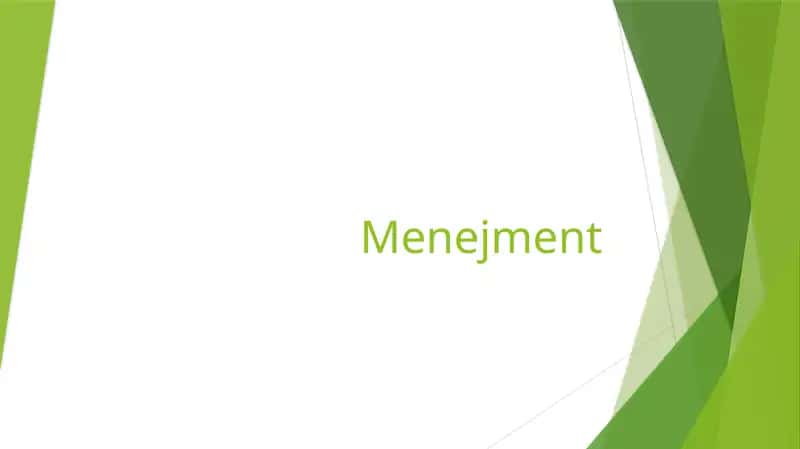 Menejment