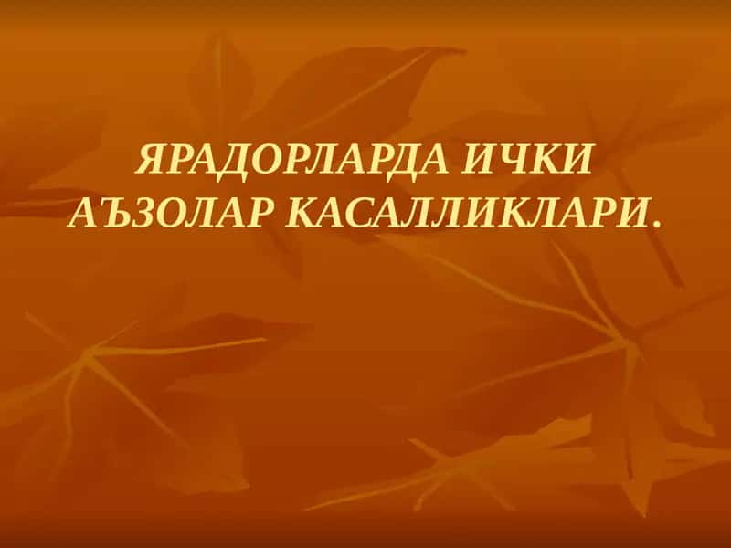 ЯРАДОРЛАРДА ИЧКИ АЪЗОЛАР КАСАЛЛИКЛАРИ