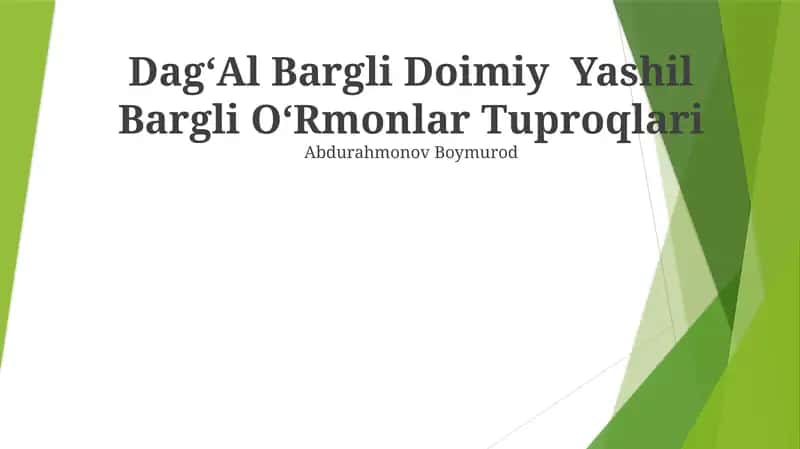 DagʻAl Bargli Doimiy Yashil Bargli OʻRmonlar Tuproqlari