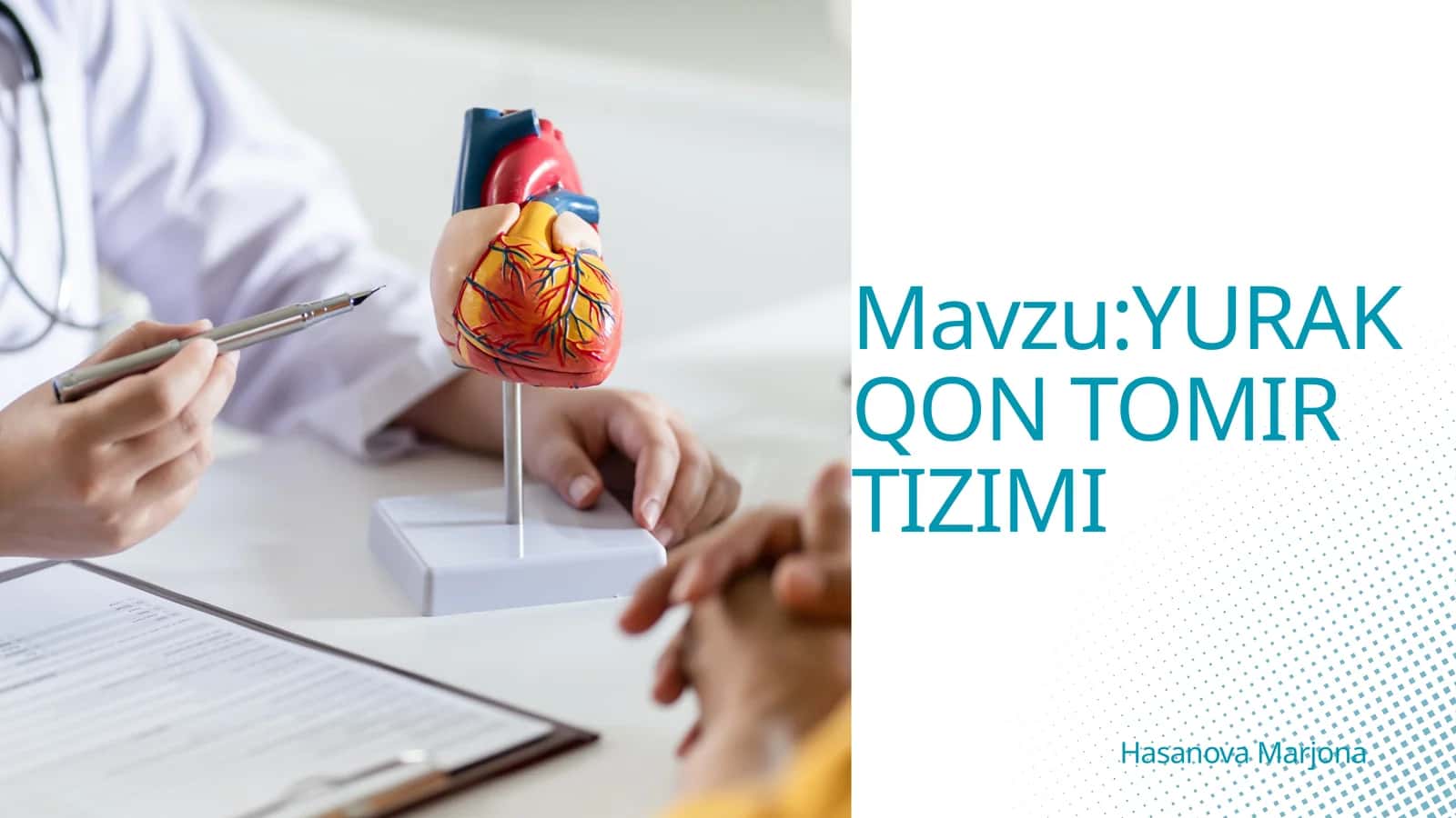 YURAK QON TOMIR TIZIMI