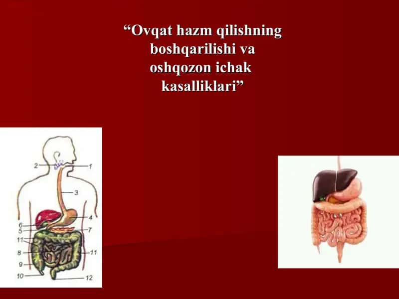 Ovqat hazm qilishning boshqarilishi va oshqozon ichak kasalliklari