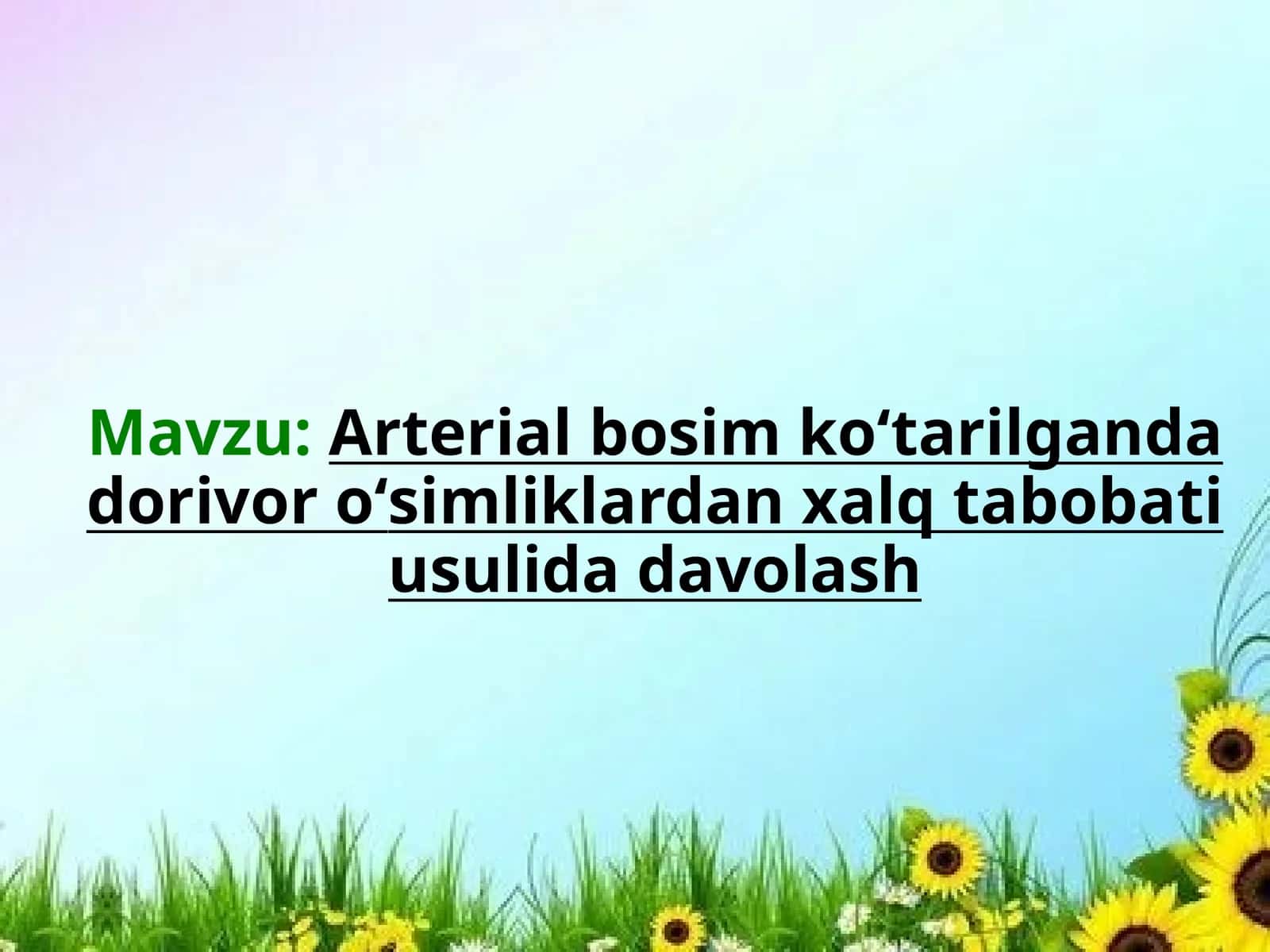 Arterial bosim ko‘tarilganda dorivor o‘simliklardan xalq tabobati usulida davolash