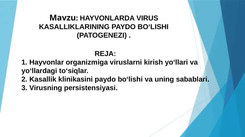 Hayvonlarda virus kasalliklari