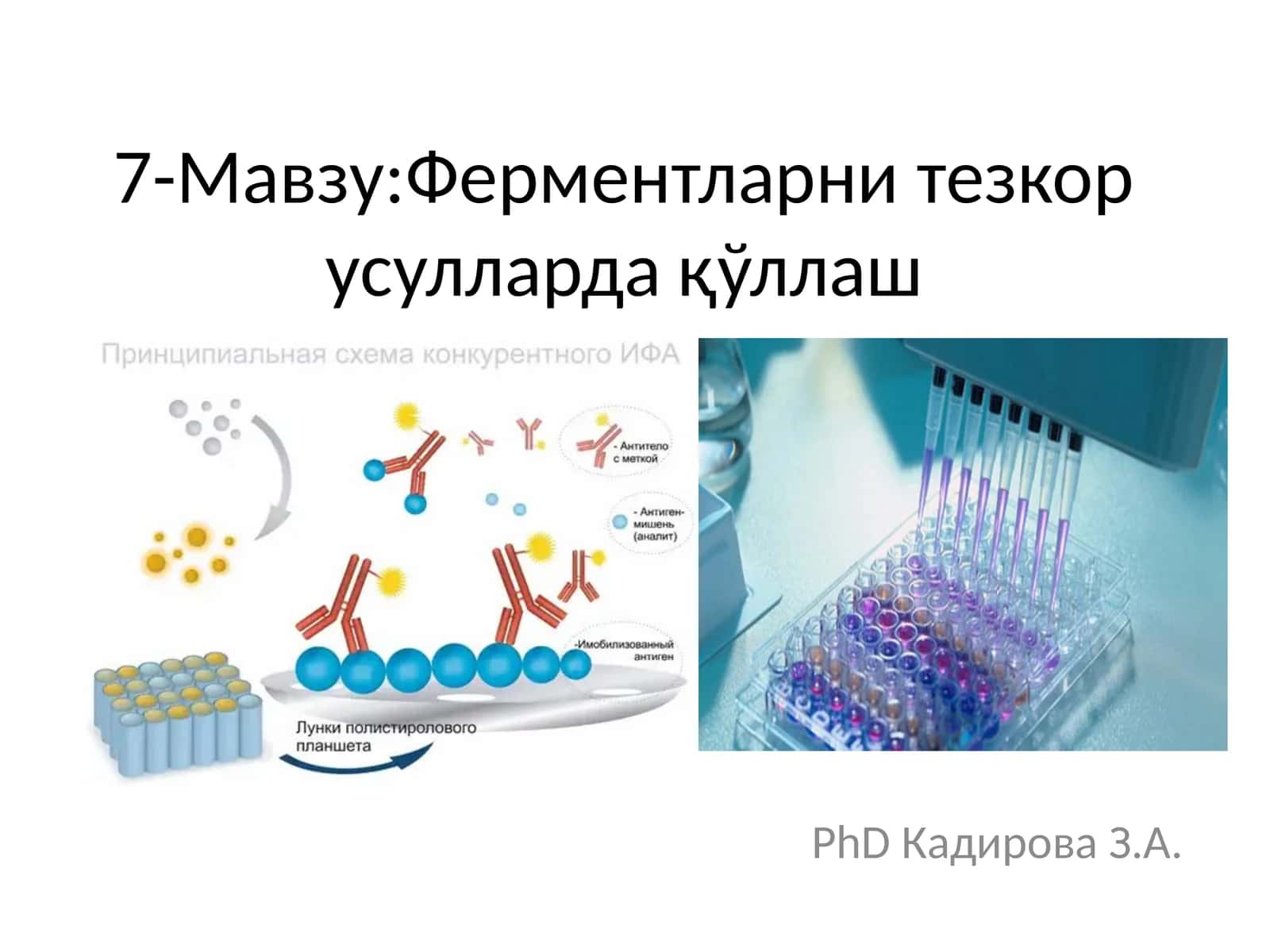 Ферментларни тезкор усулларда қўллаш