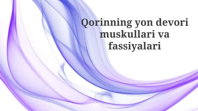 Yon Qorin Devori Mushaklari