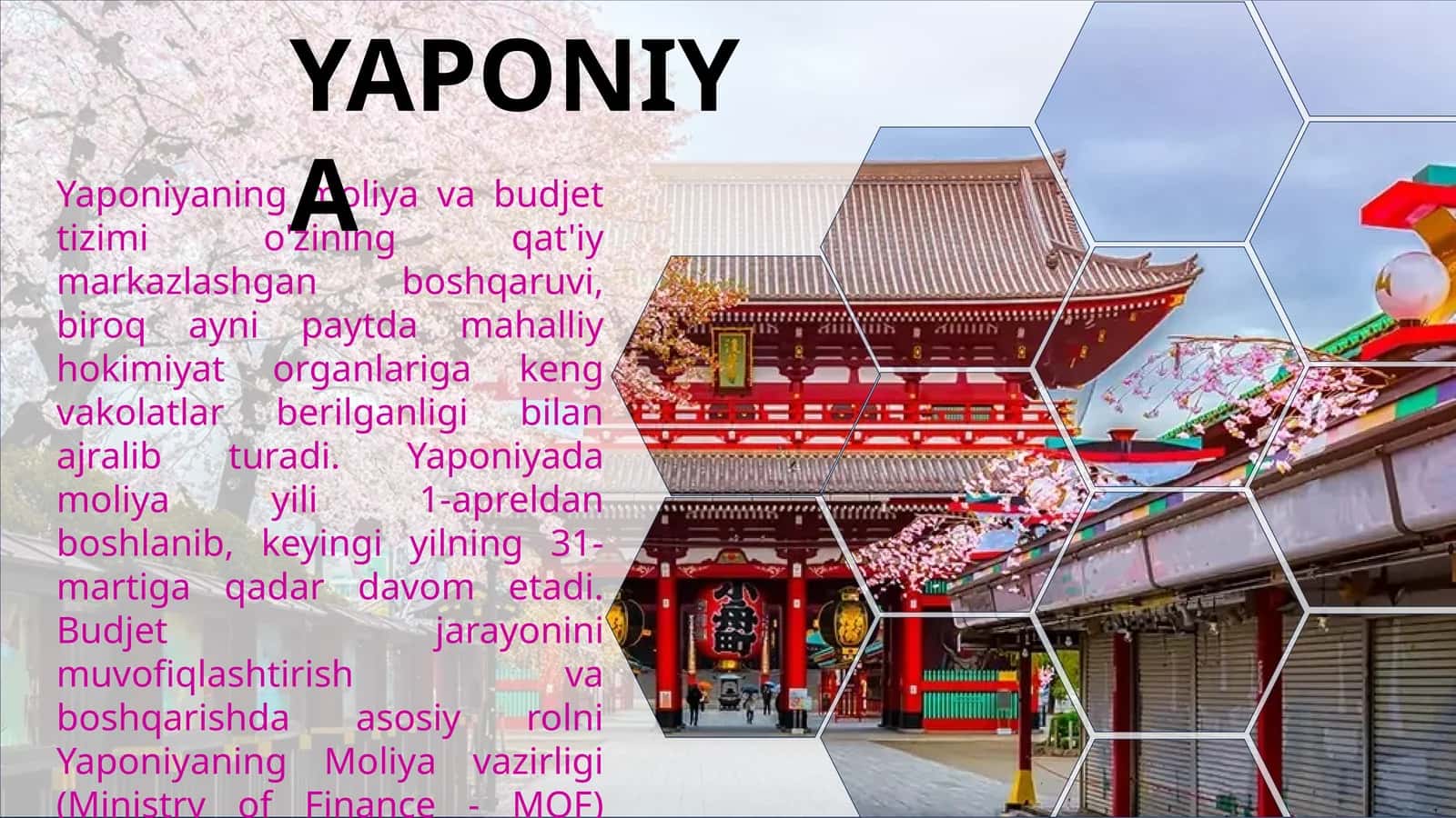 YAPONIYA IQTISODIYOTI. YAPONIYANING BYUDJET SIYOSATI. Yaponiya