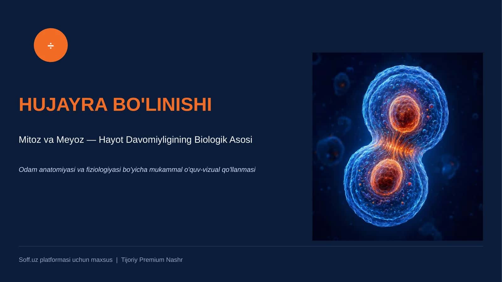 HUJAYRA BO'LINISHI