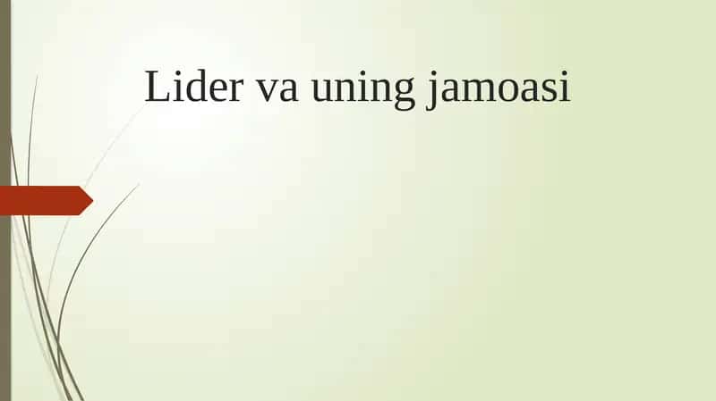 Lider va jamoa