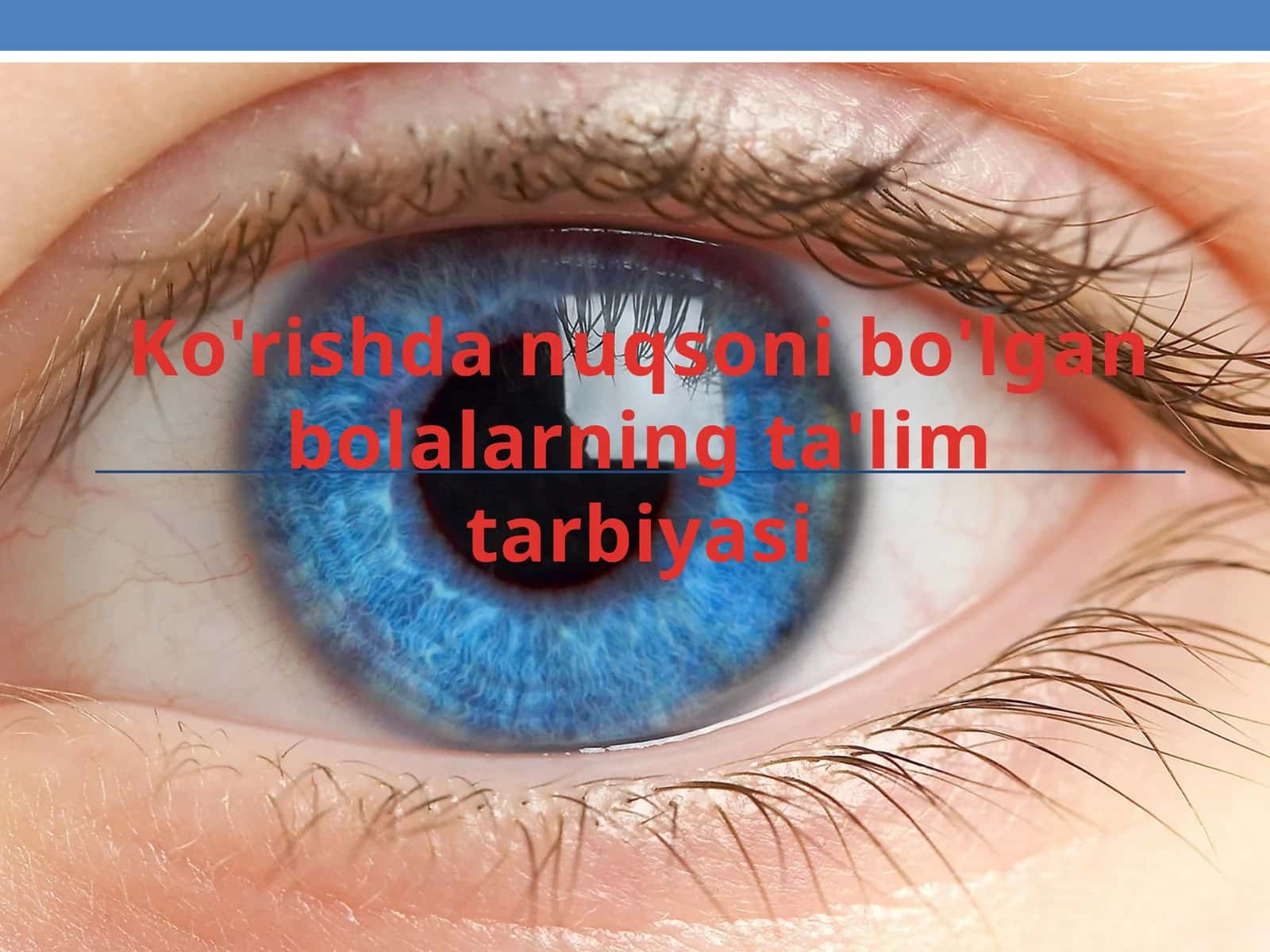 Ko'rishda nuqsoni bo'lgan bolalarning ta'lim tarbiyasi