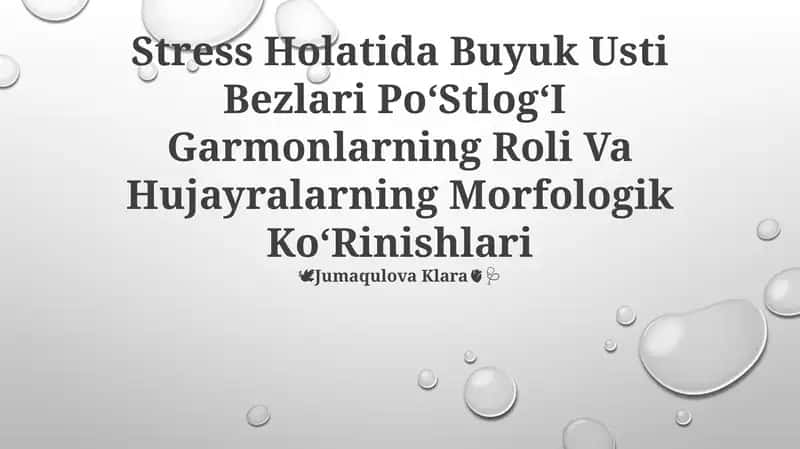 Buyuk Usti Bezlari PoʻStlogʻI Garmonlarning Roli Va Hujayralarning Morfologik KoʻRinishlari
