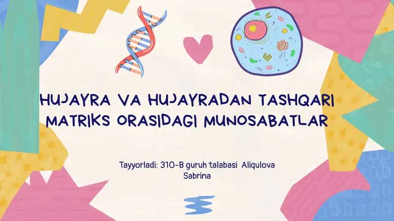 HUJAYRA VA HUJAYRADAN TASHQARI MATRIKS ORASIDAGI MUNOSABATLAR