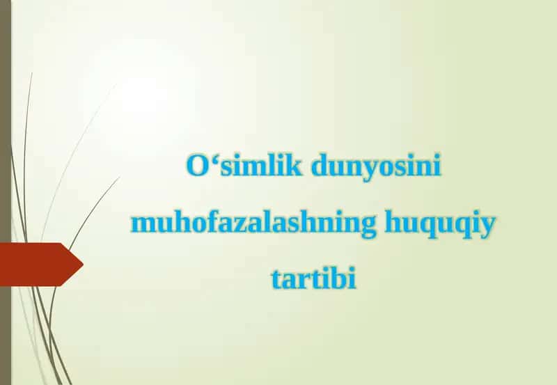 O‘simlik  dunyosini  muhofazalashning  huquqiy  tartibi