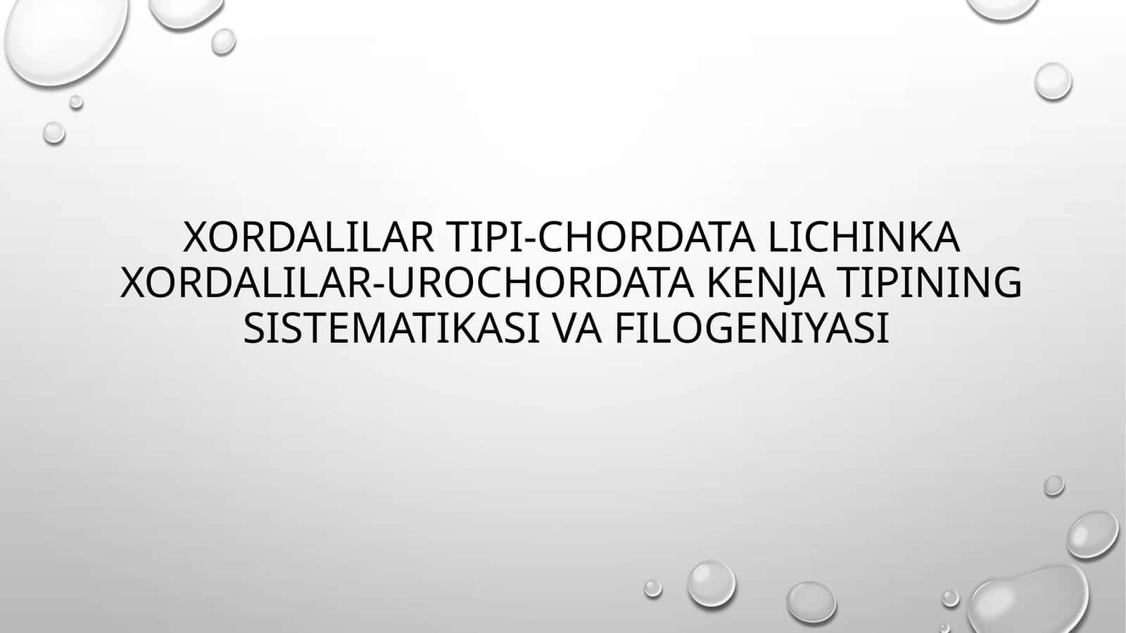 Lichinkaxordalilar (Urochordata)