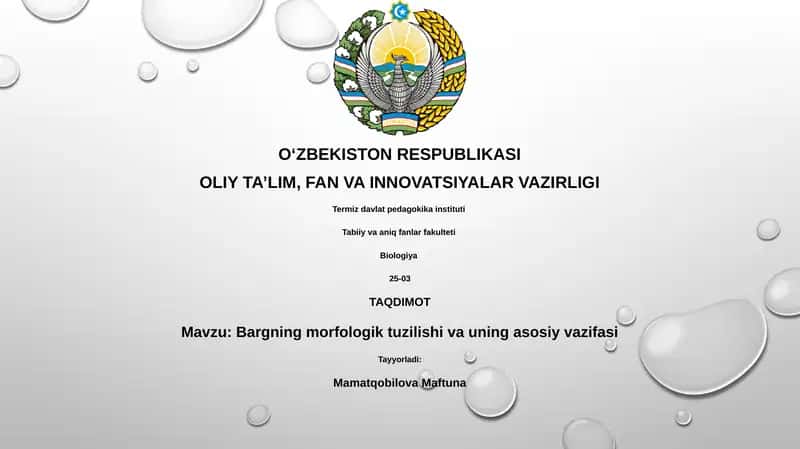 Bargning morfologik tuzilishi va uning asosiy vazifasi